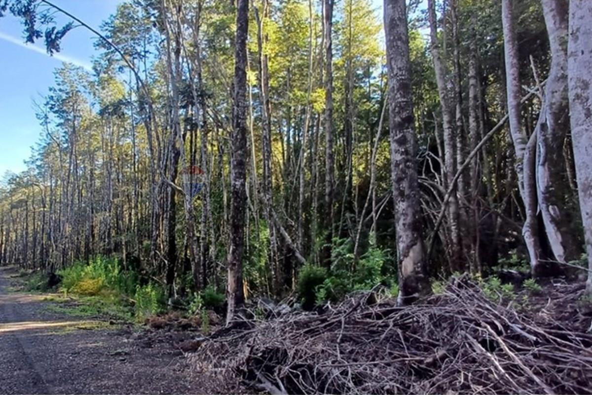 Terreno en venta en Pucón — foto 5