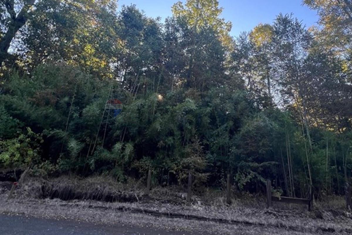 Terreno en venta en Pucón — foto 7