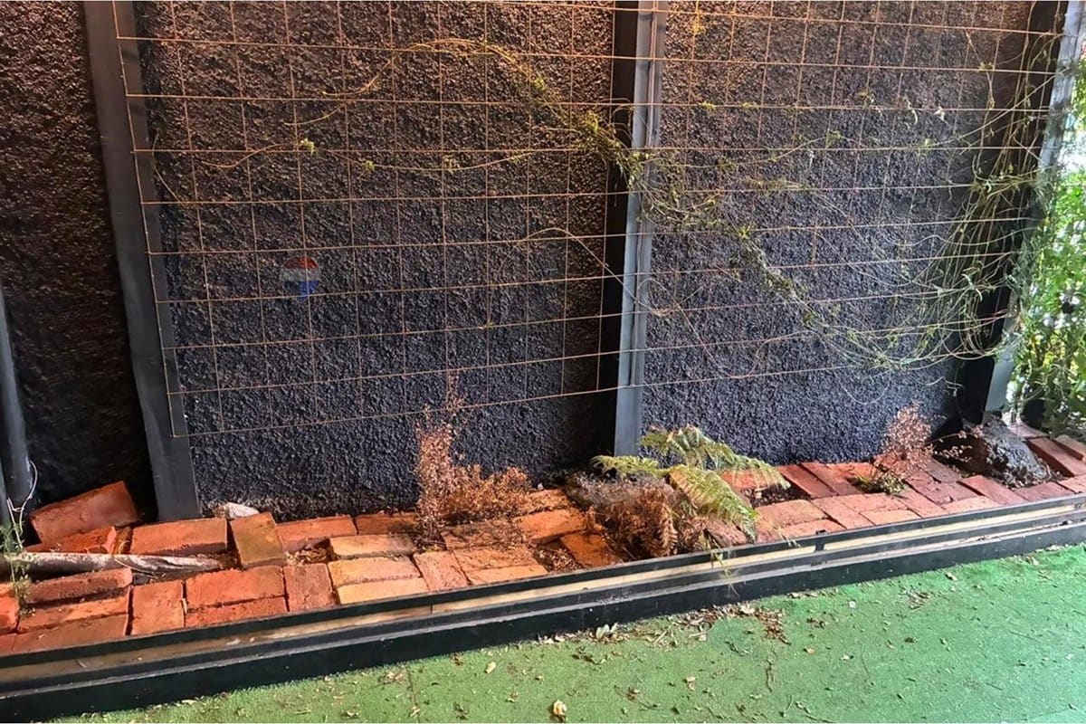 Local comercial en arriendo en Pucón — foto 8