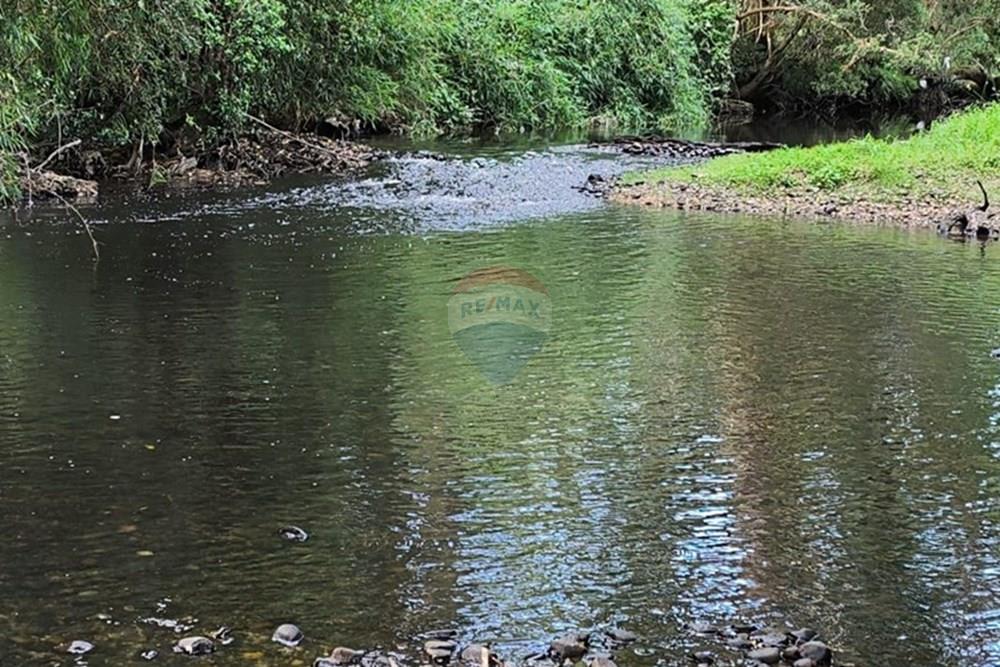 Parcela en venta en Fresia — foto 5