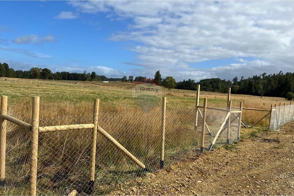Parcela en venta en Fresia — foto 8