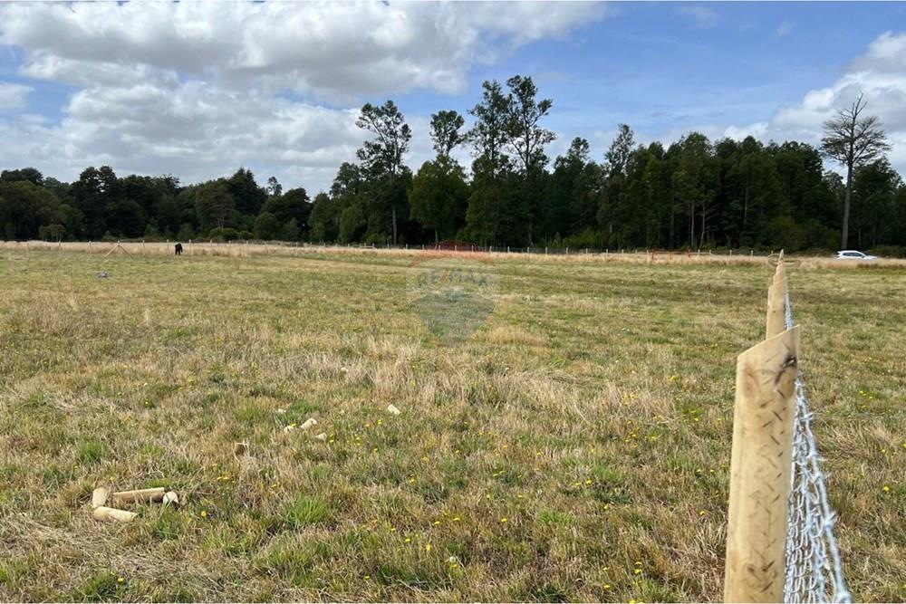 Parcela en venta en Fresia — foto 10