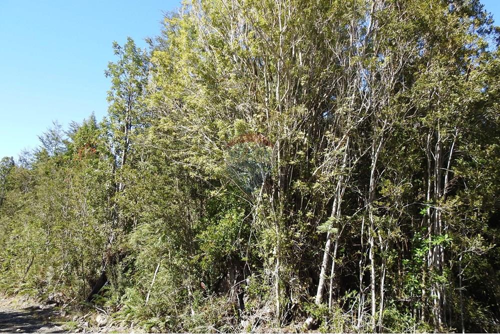 Parcela en venta en Puerto Montt — foto 6
