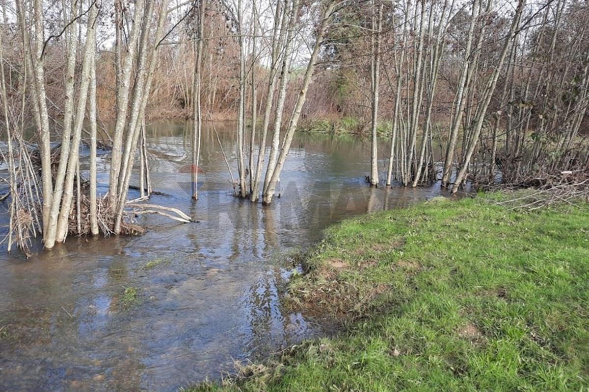 Parcela en venta en Río Negro — foto 4