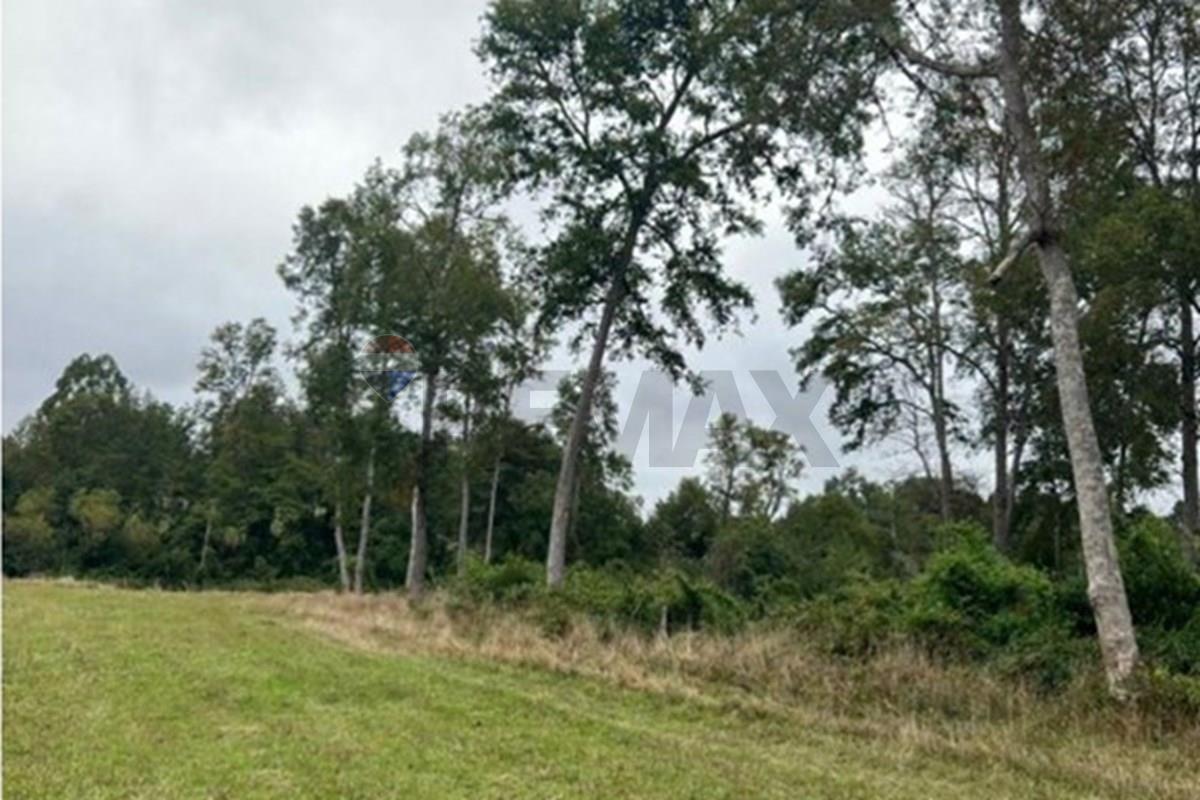 Parcela en venta en Río Negro — foto 8