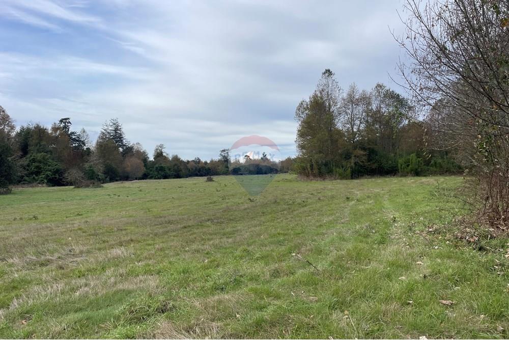 Parcela en venta en Villarrica — foto 5