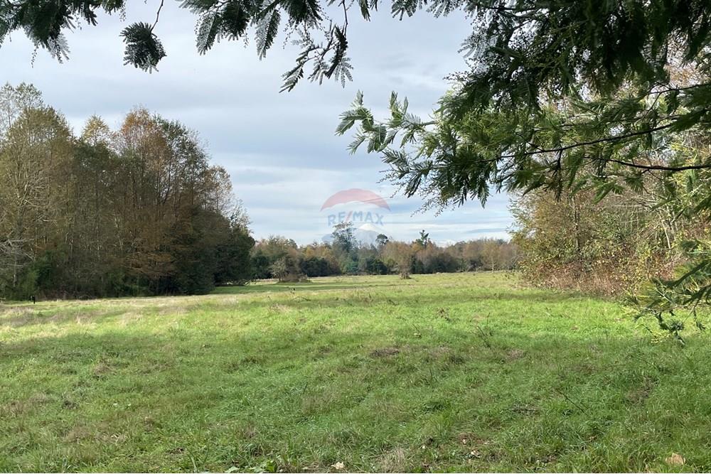 Parcela en venta en Villarrica — foto 6