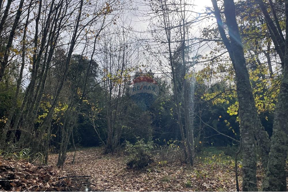 Parcela en venta en Villarrica — foto 7