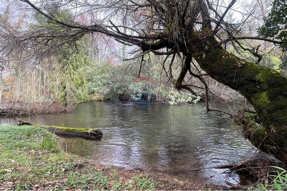 Parcela en venta en Villarrica — foto 8