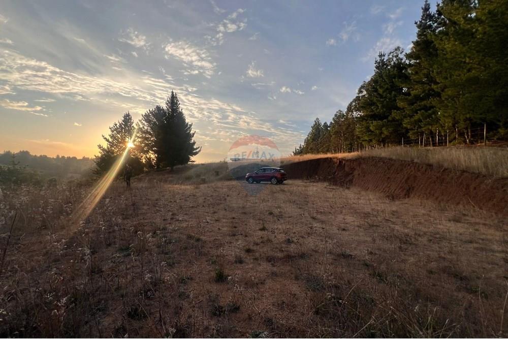 Terreno en venta en Yumbel — foto 5