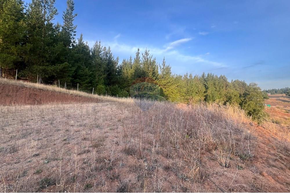 Terreno en venta en Yumbel — foto 6