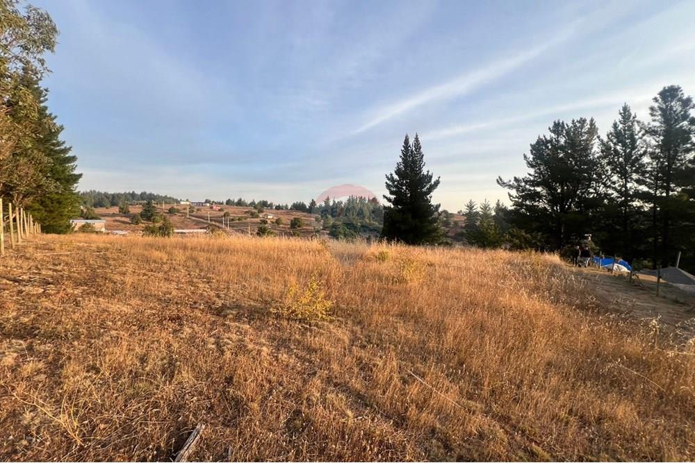Terreno en venta en Yumbel — foto 7