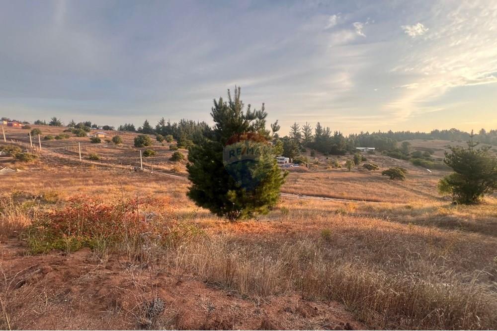 Terreno en venta en Yumbel — foto 9