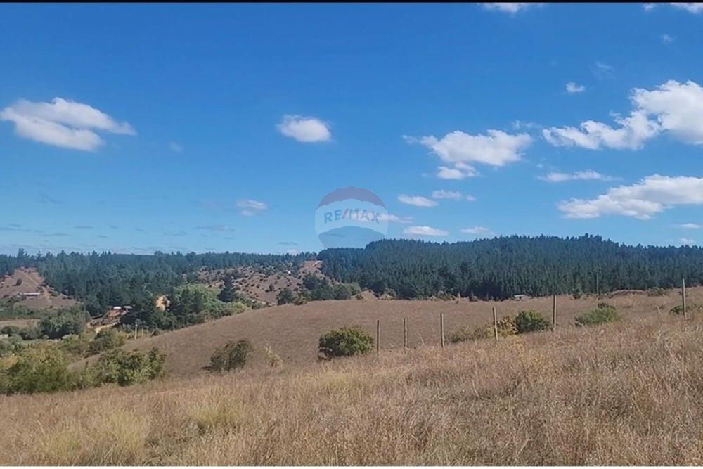 Parcela en venta en Yumbel — foto 1