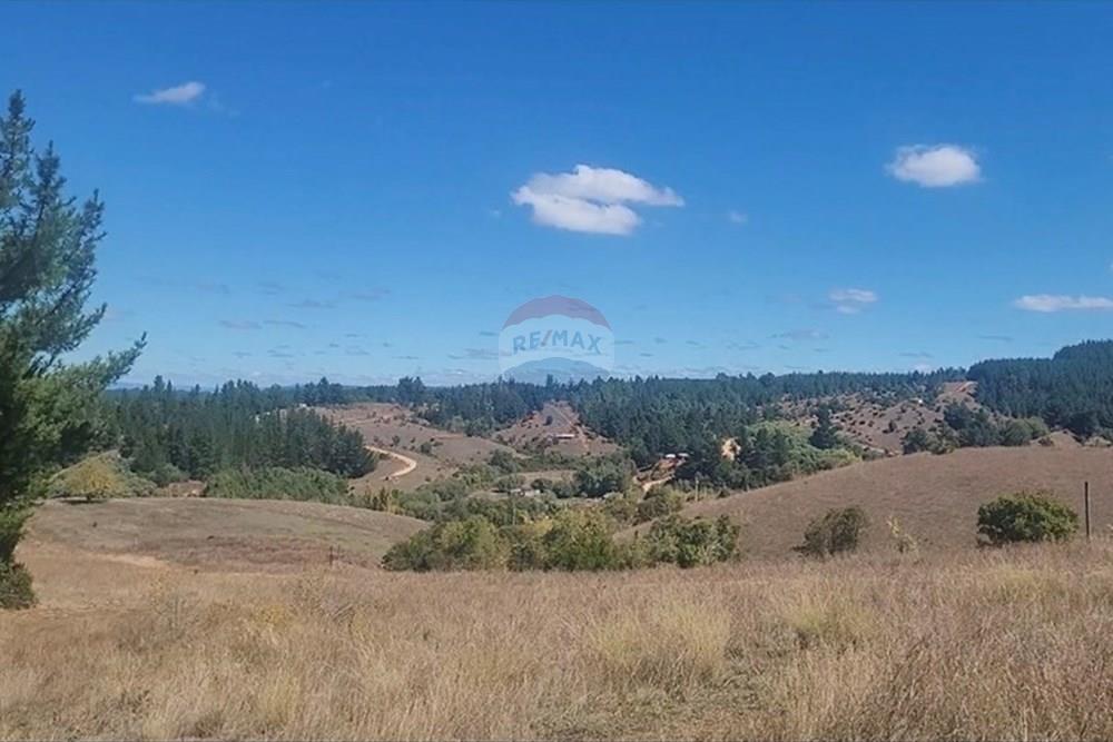 Parcela en venta en Yumbel — foto 2