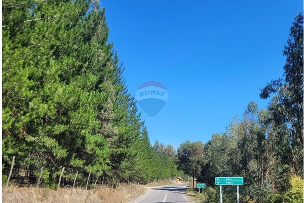 Parcela en venta en Yumbel — foto 4