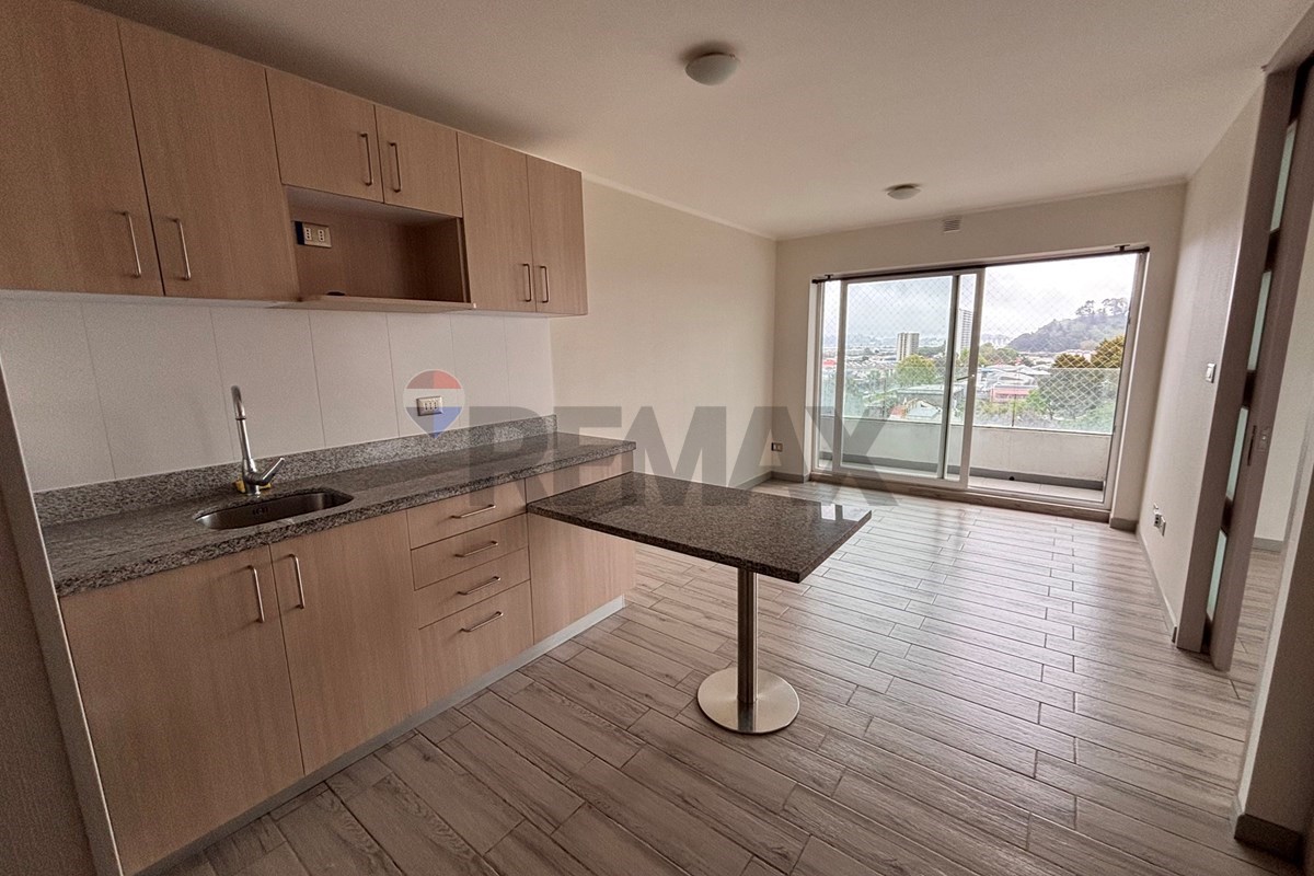 Departamento en arriendo en Concepción — foto 2