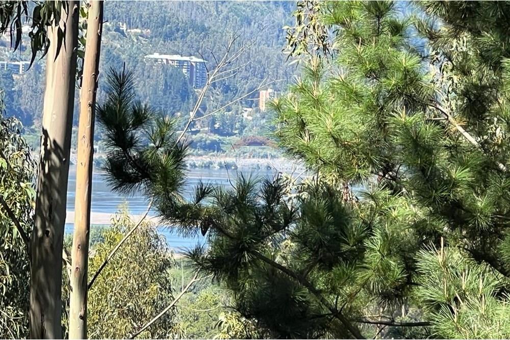 Terreno en venta en San Pedro de la Paz — foto 3