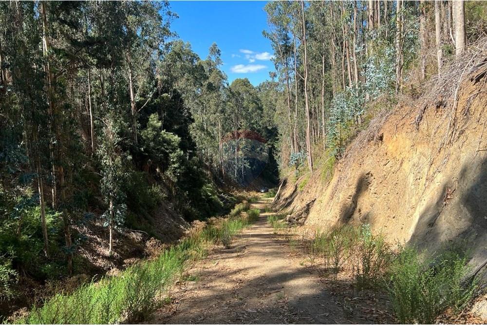 Terreno en venta en San Pedro de la Paz — foto 4