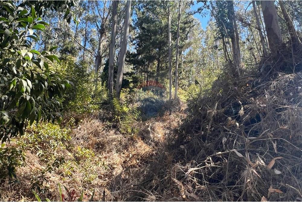 Terreno en venta en San Pedro de la Paz — foto 7