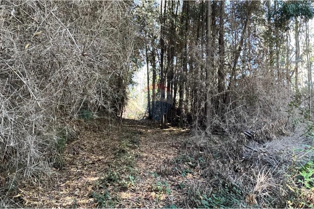 Terreno en venta en San Pedro de la Paz — foto 8