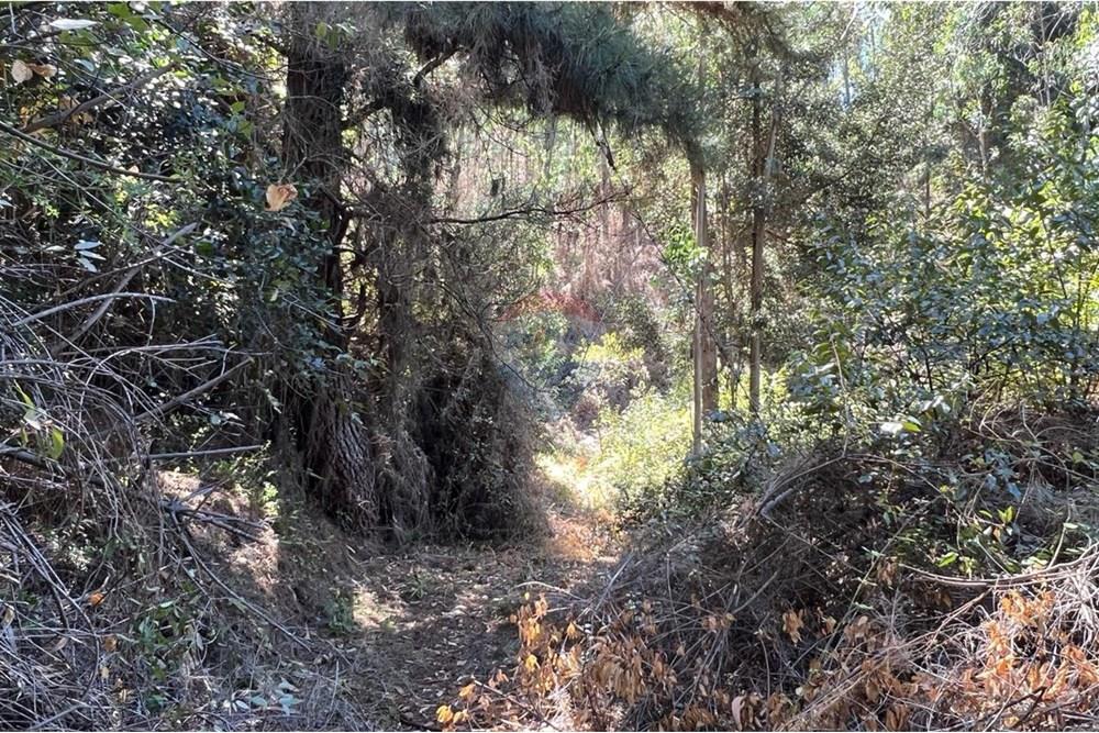 Terreno en venta en San Pedro de la Paz — foto 10