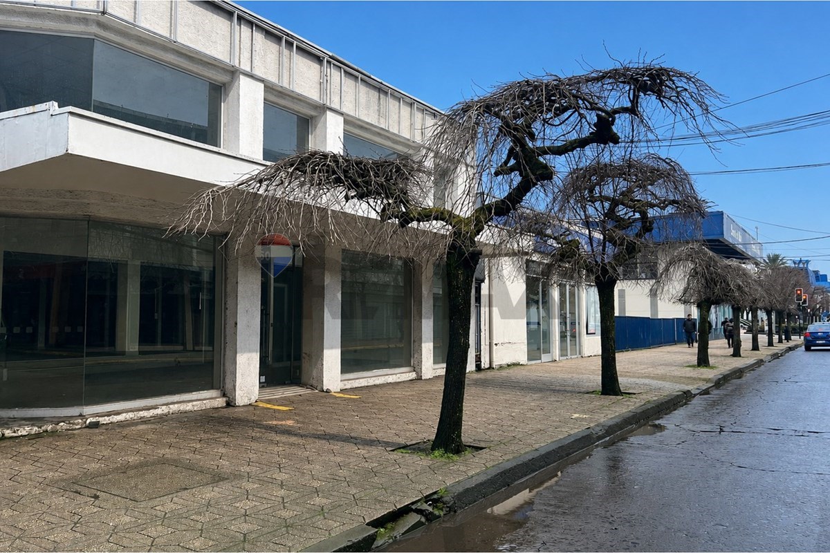Local comercial en arriendo en Los Ángeles — foto 4