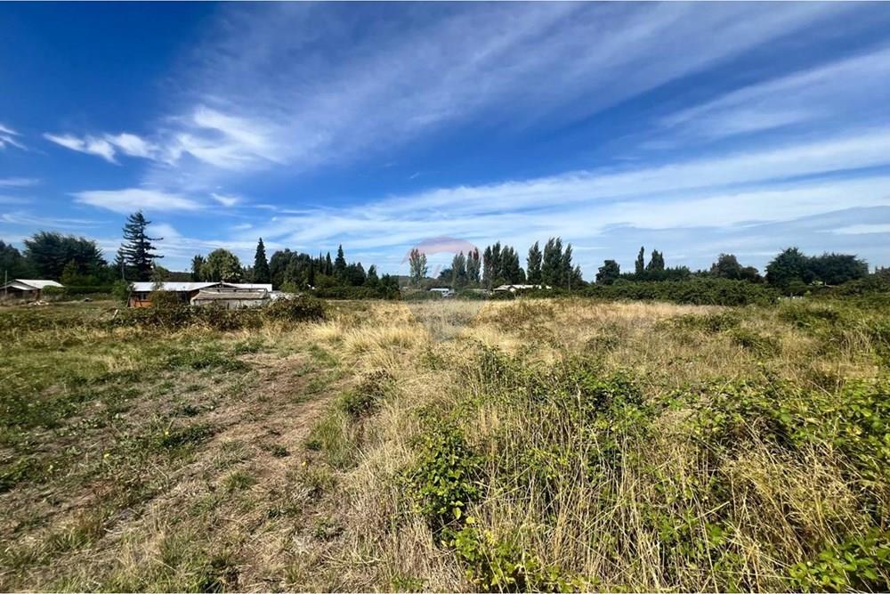 Terreno en venta en Negrete — foto 4