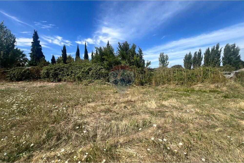 Terreno en venta en Negrete — foto 7