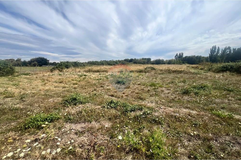 Terreno en venta en Negrete — foto 10