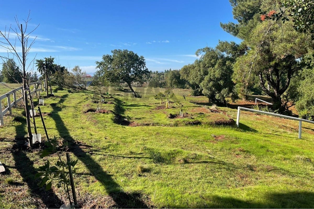 Casa en venta en Yumbel — foto 2