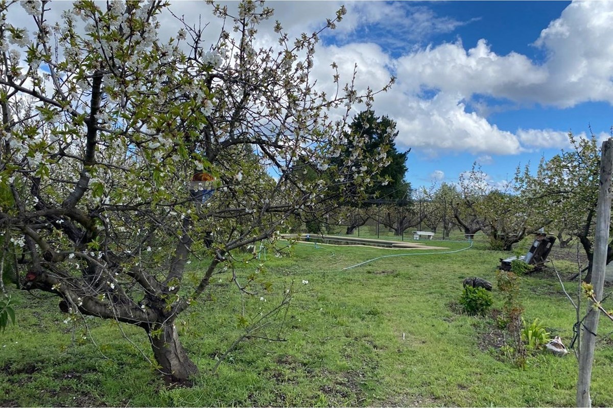 Casa en venta en Quillón — foto 4