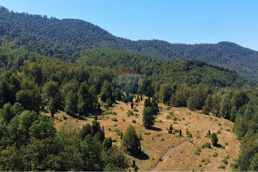 Parcela en venta en Curarrehue — foto 6