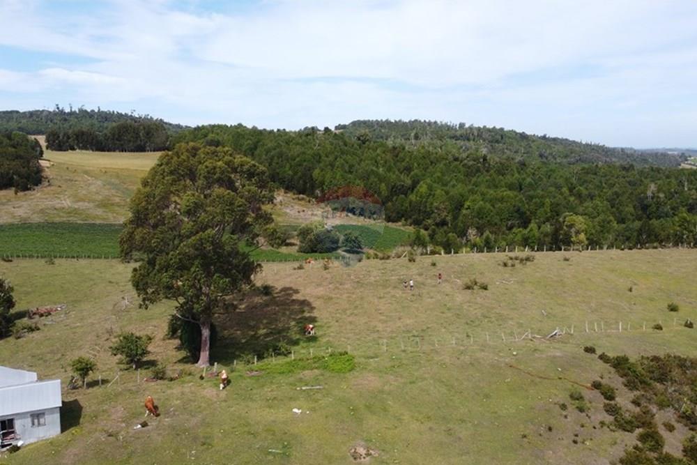 Parcela en venta en Puerto Varas — foto 3
