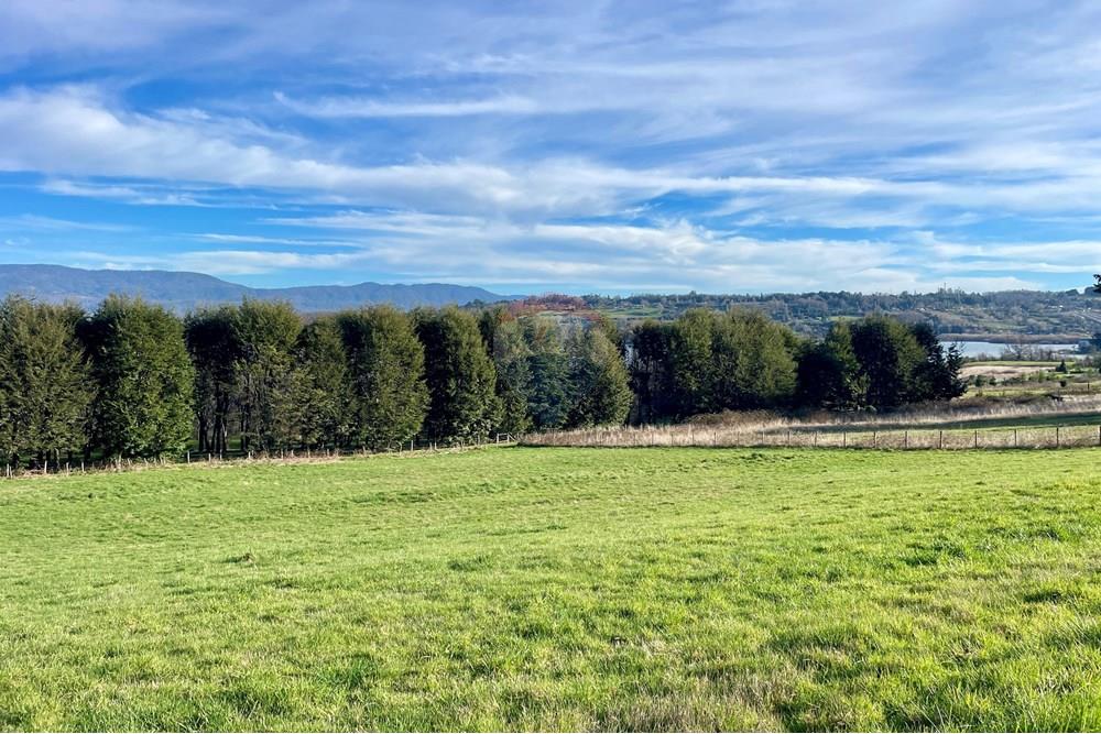 Parcela en venta en Panguipulli — foto 7