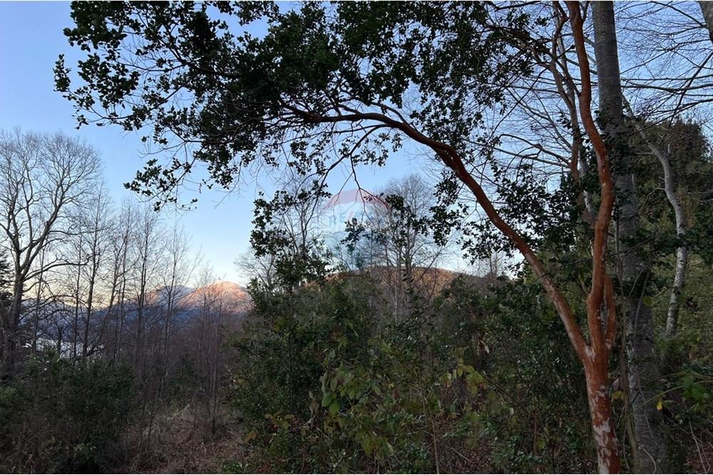 Parcela en venta en Pucón — foto 8