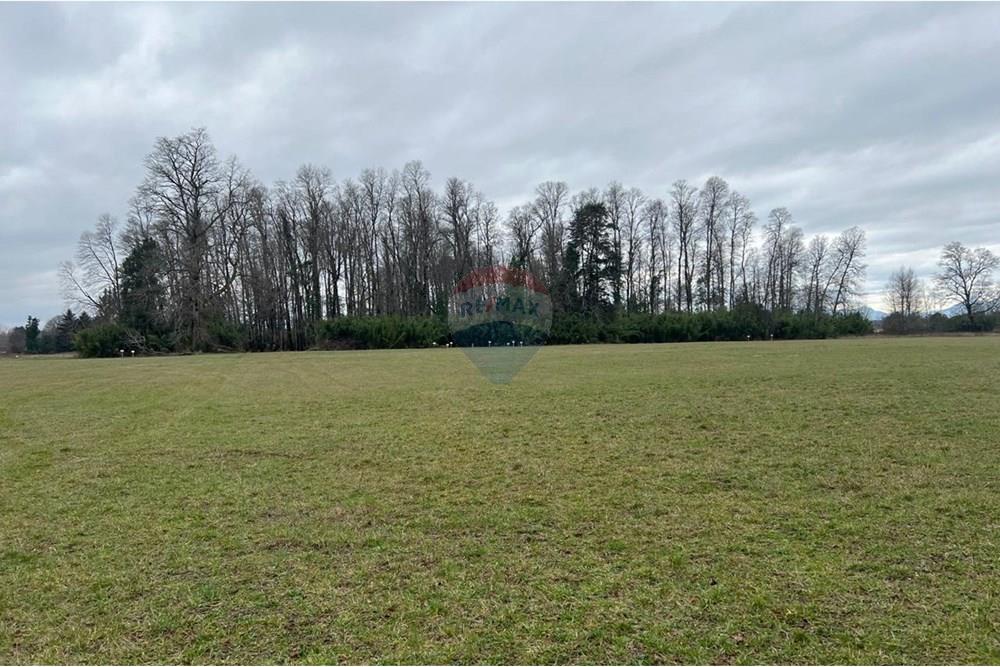 Parcela en venta en Villarrica — foto 2