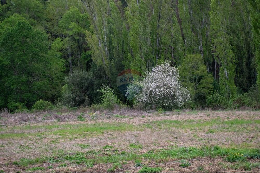 Parcela en venta en La Unión — foto 10