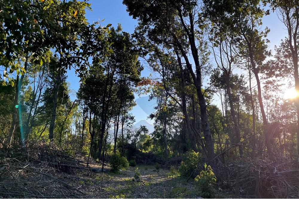 Parcela en venta en Pucón — foto 7