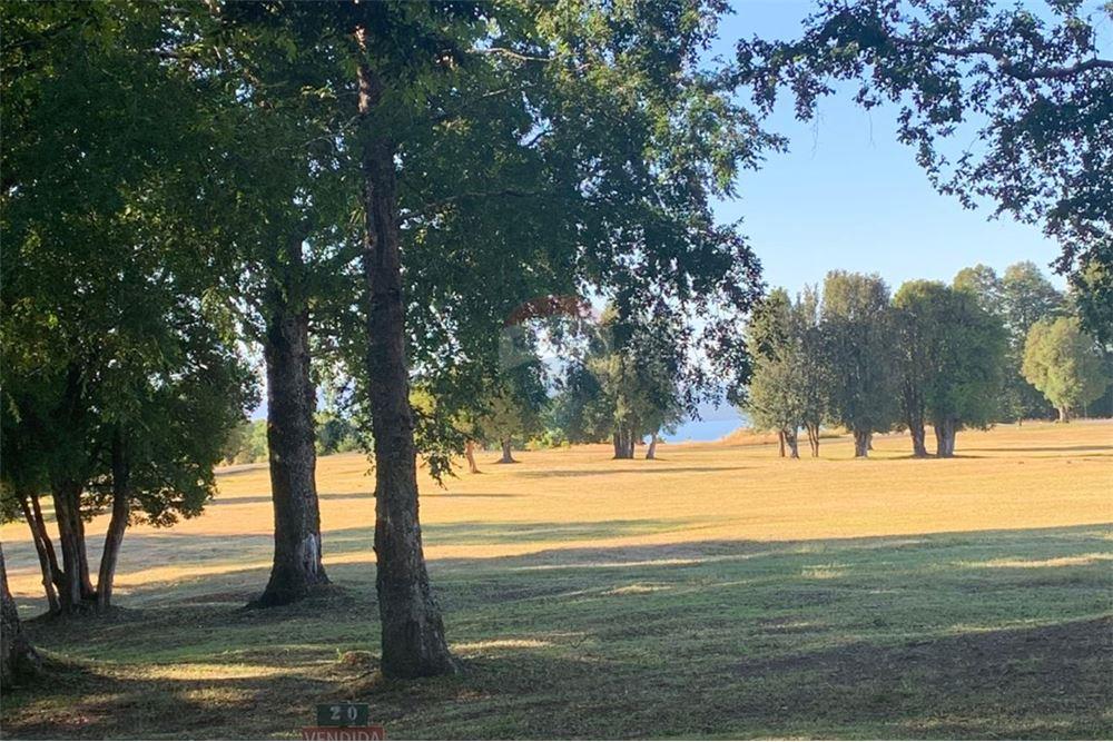 Parcela en venta en Pucón — foto 1