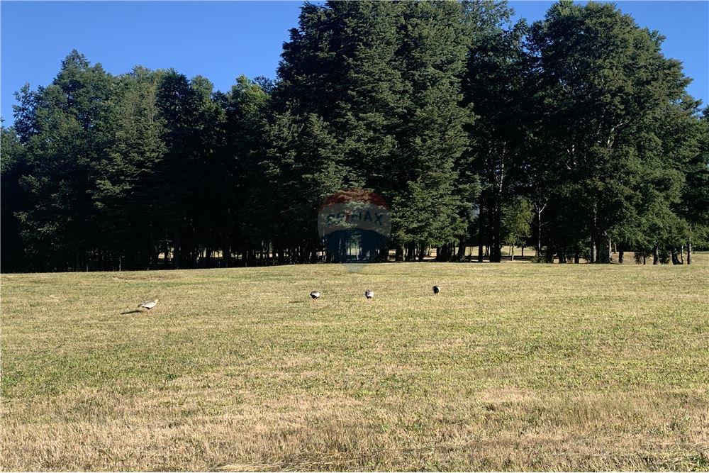 Parcela en venta en Pucón — foto 3
