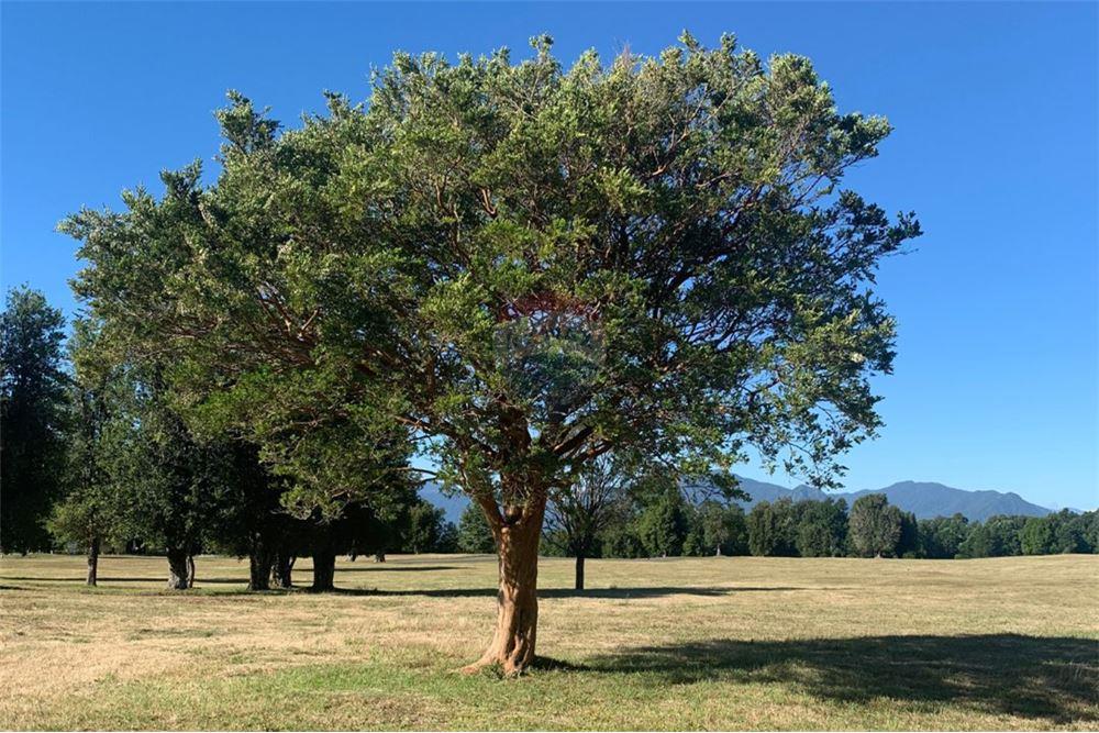 Parcela en venta en Pucón — foto 9
