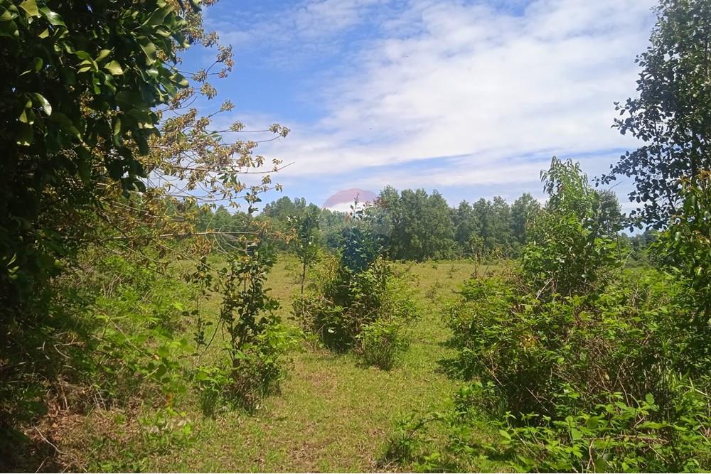Parcela en venta en Villarrica — foto 8