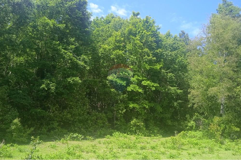 Parcela en venta en Villarrica — foto 9