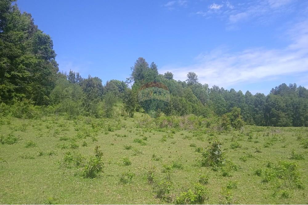 Parcela en venta en Villarrica — foto 10