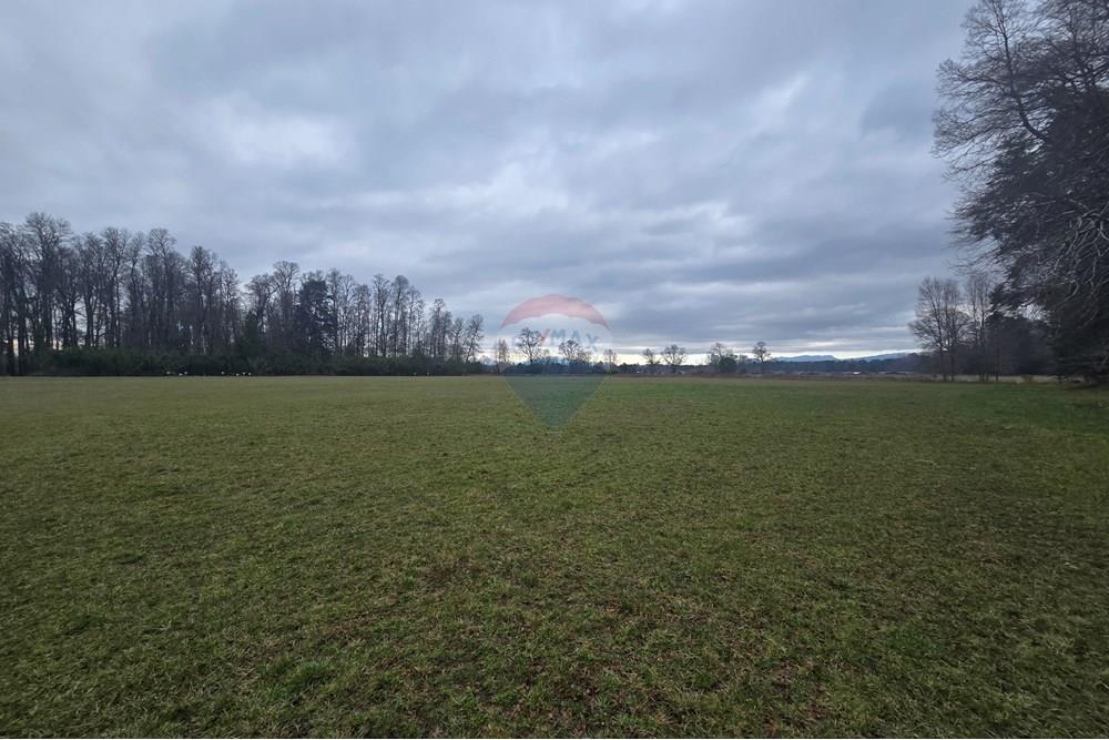 Parcela en venta en Villarrica — foto 9