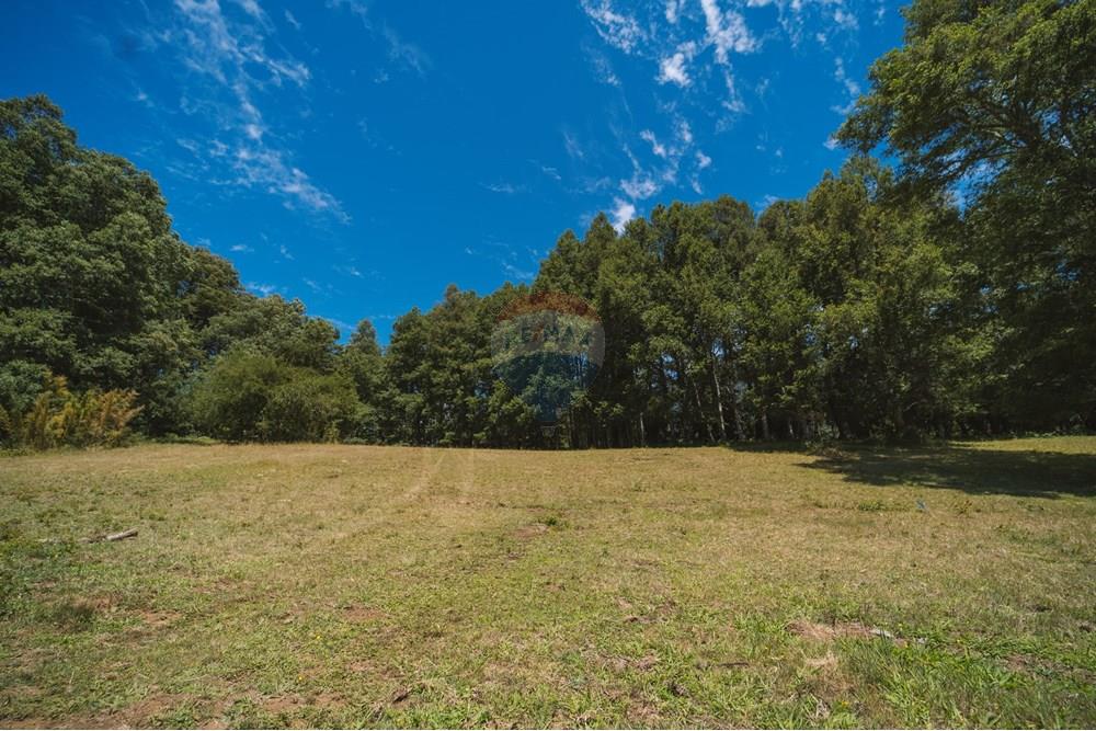 Parcela en venta en Pucón — foto 1