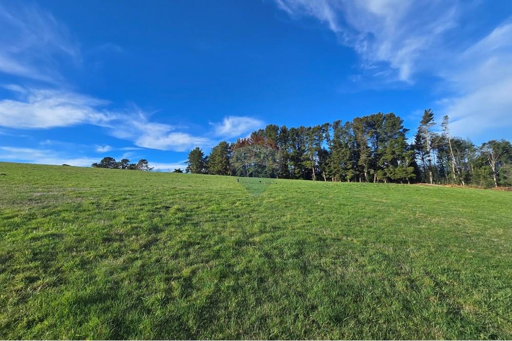 Parcela en venta en Panguipulli — foto 8