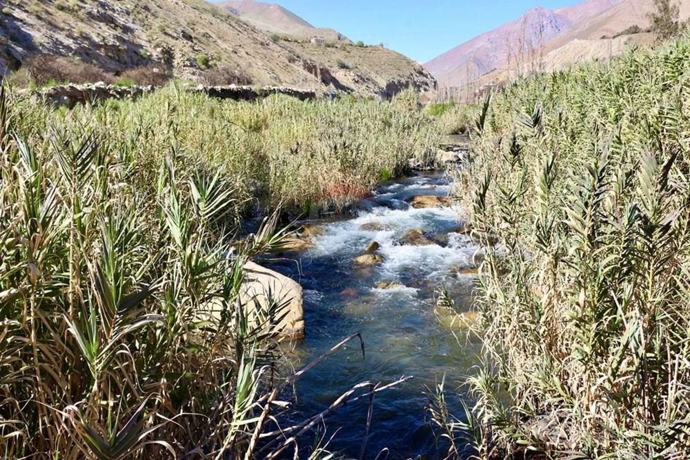 Terreno en venta en Paihuano — foto 5