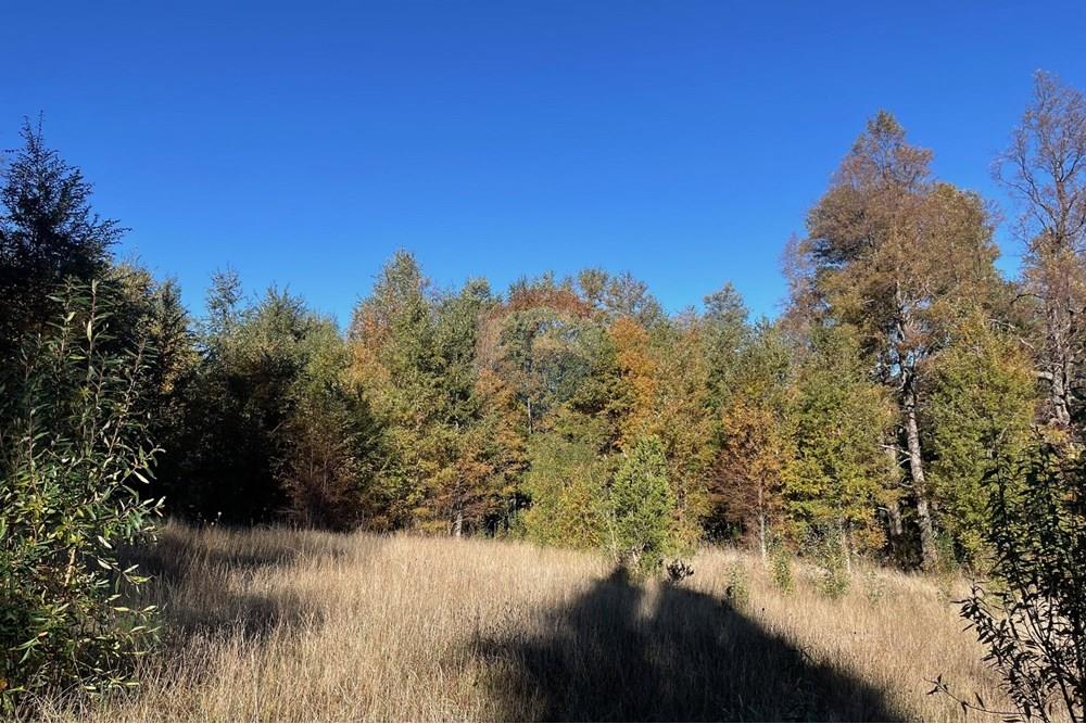 Terreno en venta en Pucón — foto 2
